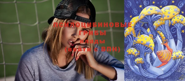 spice Надым