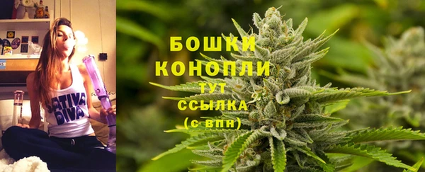 spice Надым