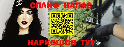 PSILOCYBIN Заводоуковск
