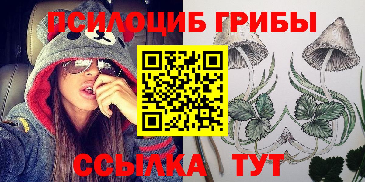 Кимры  Галлюциногенные грибы MAGIC MUSHROOMS  Вход с VPN 